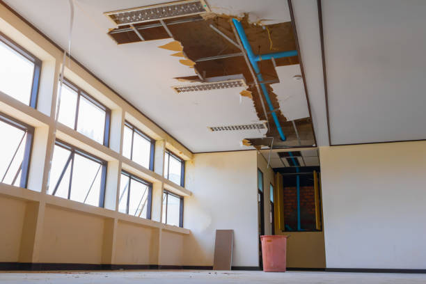 Best Water damage contractors near me  in Pickens, SC